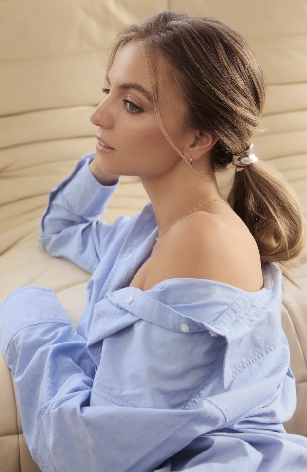 Crochet métallique pour cheveux Ludi