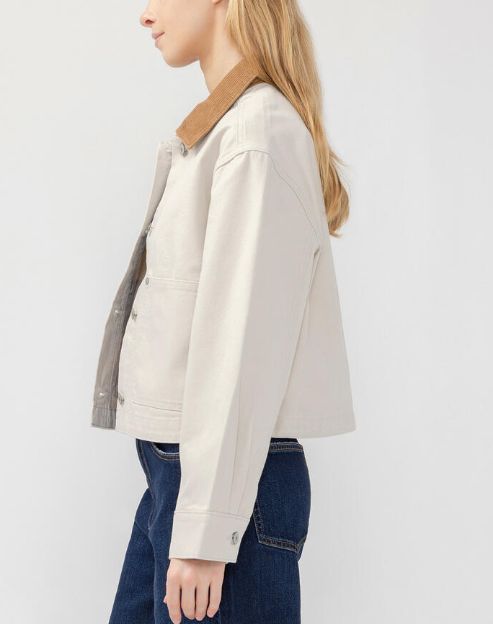 Veste courte col corduroy - LJ0076CNV684 - Silver Jeans